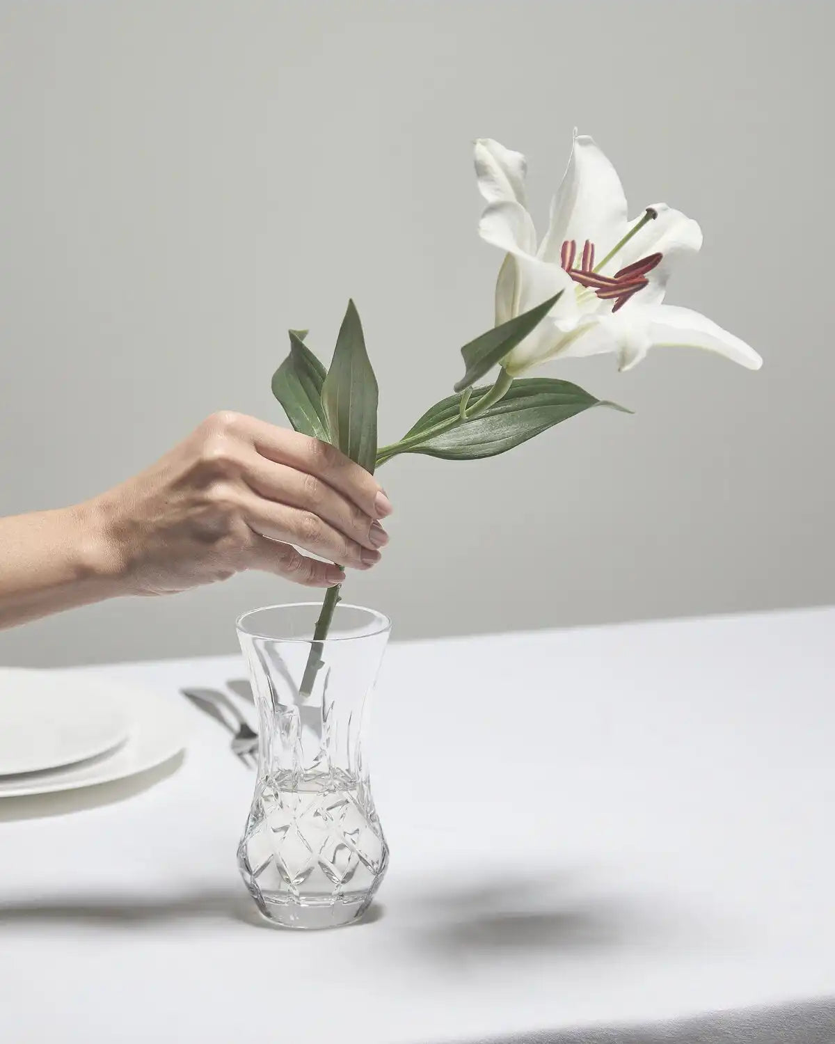 Giftology Lismore Bon Bon Vase